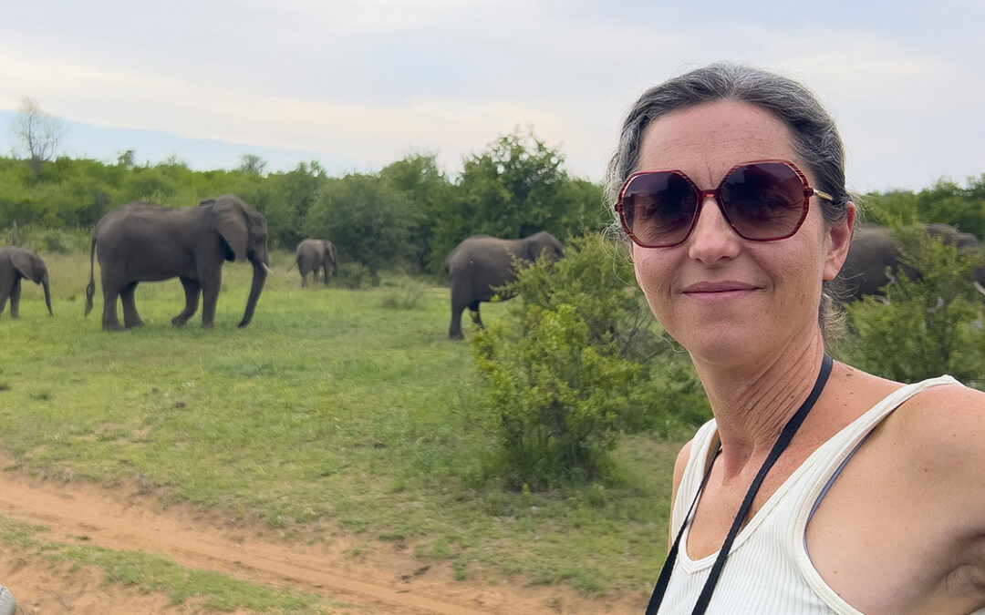 Living, Working & Traveling in South Africa